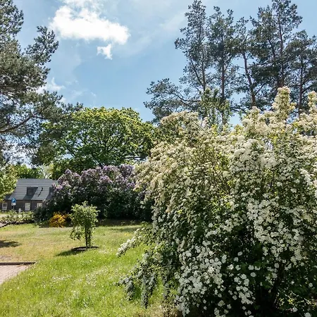 Premiumhaus Bodden Und Mehr-brise *