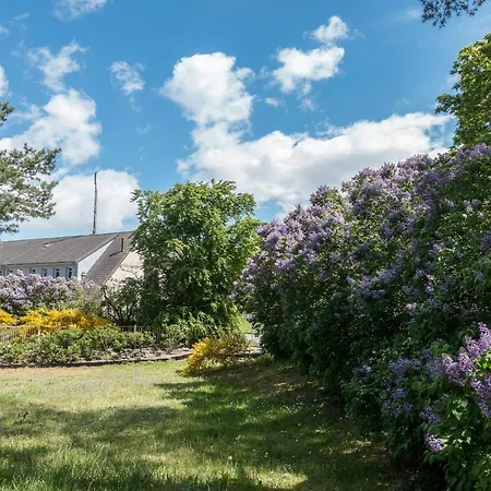 Premiumhaus Bodden Und Mehr-brise 펜션 *