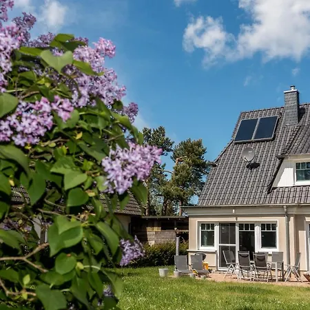 Premiumhaus Bodden Und Mehr-brise